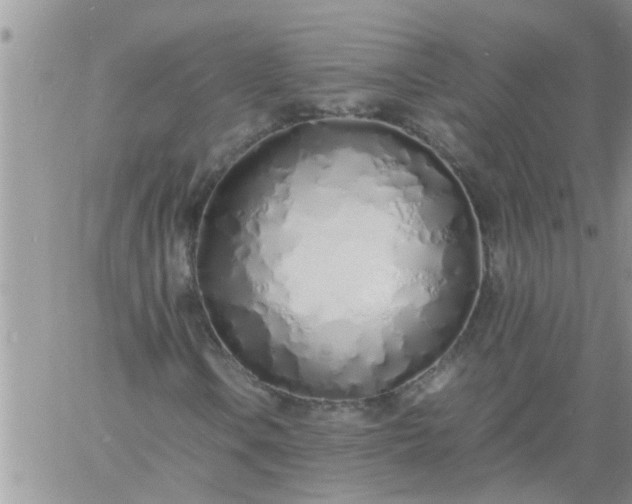 X0000060781106200511241812