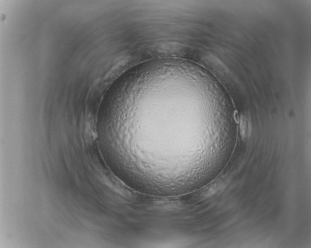 X0000060781107200511241812