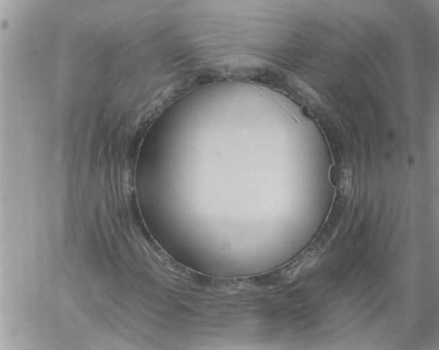 X0000060781108200511241812