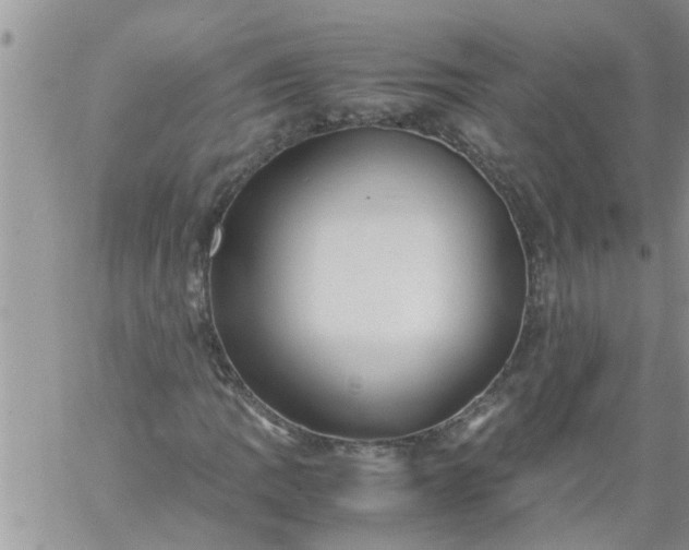 X0000060781109200511241812