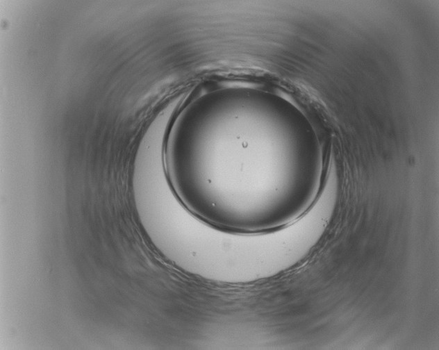 X0000060781110200511241812