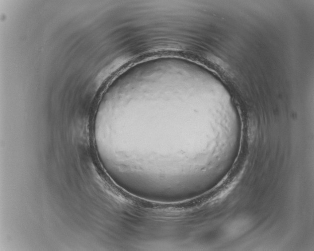 X0000060781113200511241812