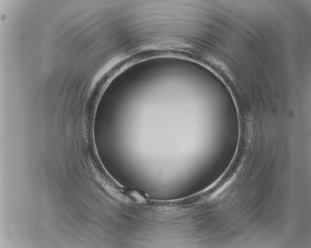 X0000060781114200511241812