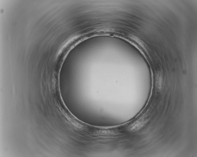 X0000060781115200511241812