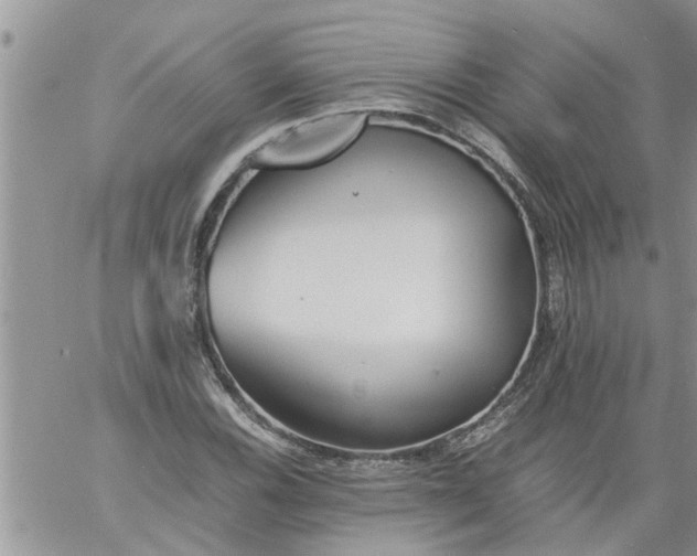 X0000060781116200511241812