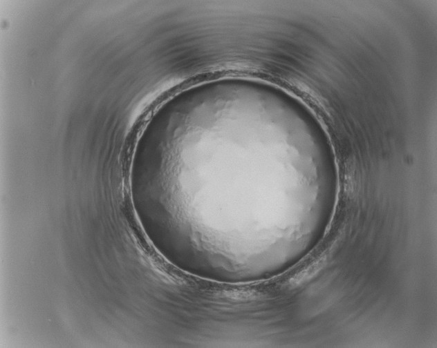 X0000060781117200511241812