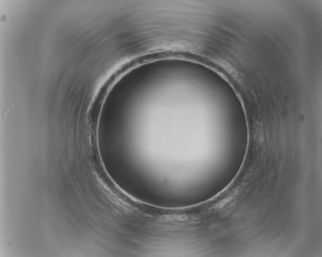 X0000060781118200511241812