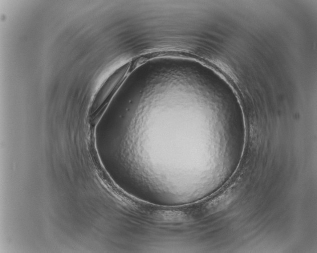 X0000060781119200511241812