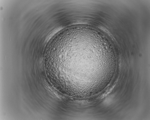 X0000060781121200511241812