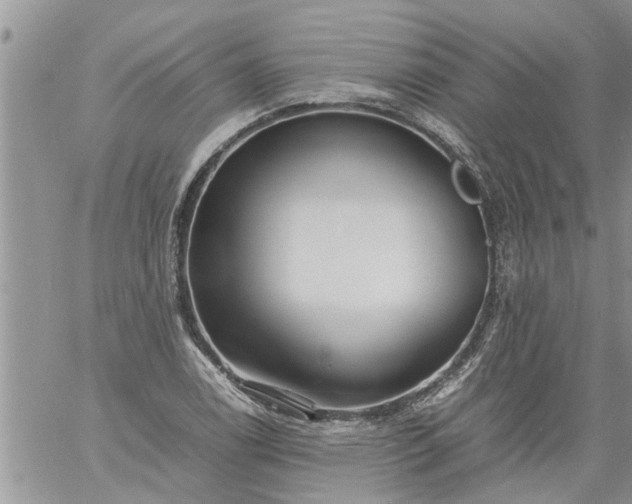 X0000060781122200511241812