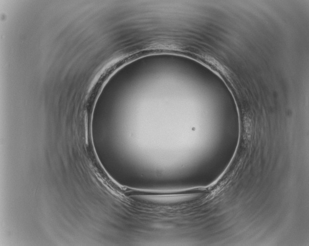 X0000060781123200511241812