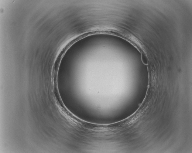 X0000060781124200511241812