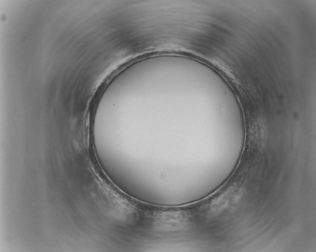 X0000060781126200511241812