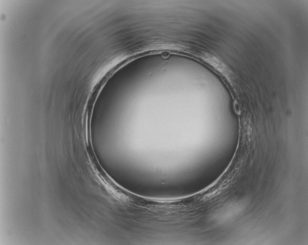 X0000060781127200511241813