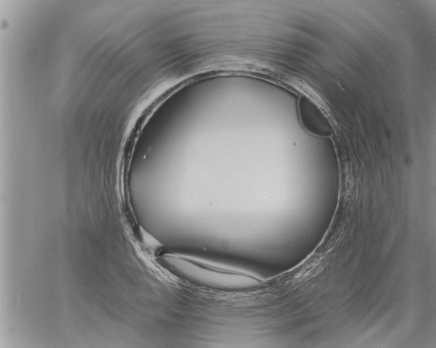 X0000060781128200511241813