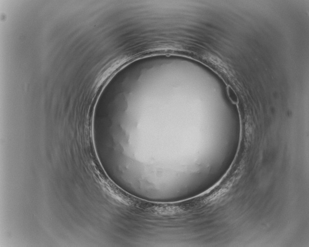 X0000060781129200511241813