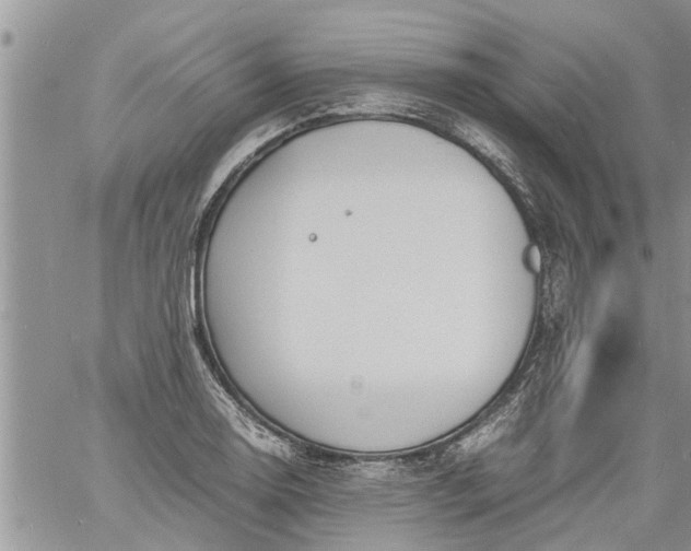 X0000060781130200511241813