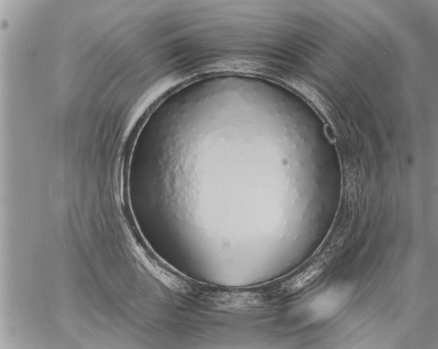 X0000060781131200511241813