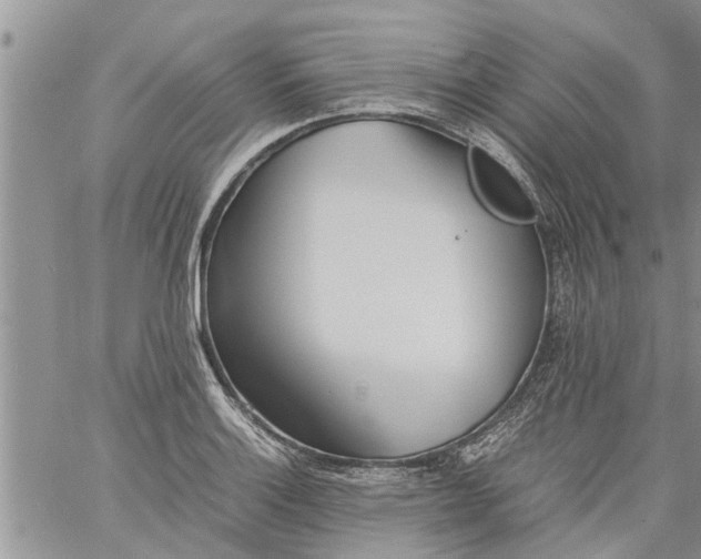 X0000060781132200511241813