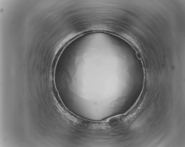 X0000060781133200511241813