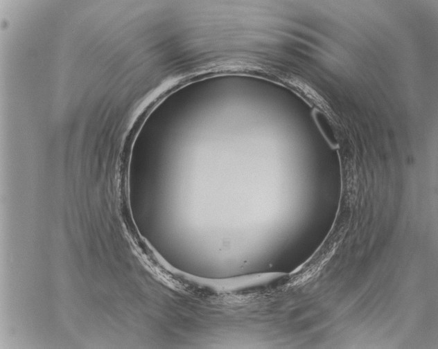 X0000060781134200511241813