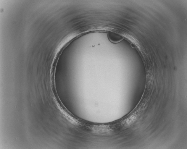 X0000060781135200511241813