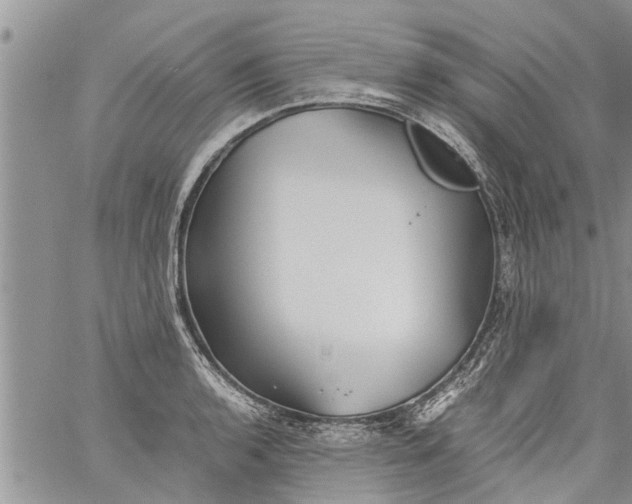 X0000060781136200511241813