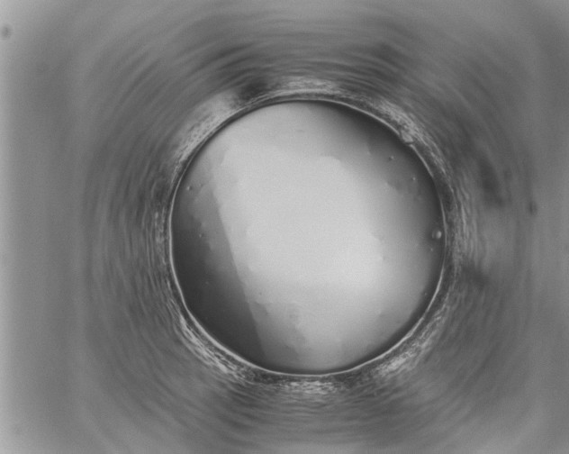 X0000060781137200511241813