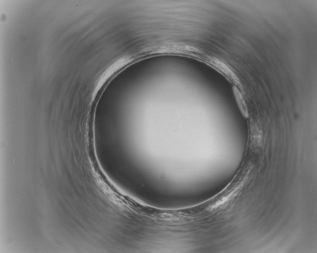 X0000060781138200511241813