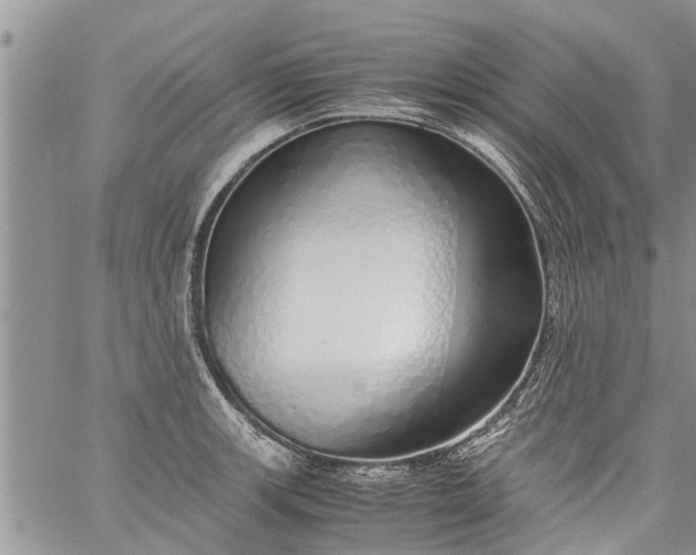 X0000060781139200511241813