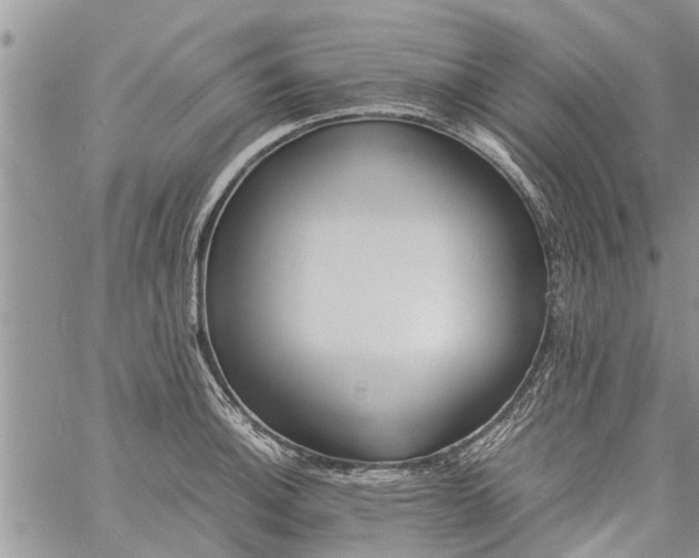 X0000060781140200511241813