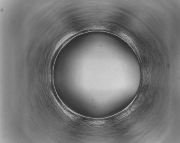 X0000060781141200511241813