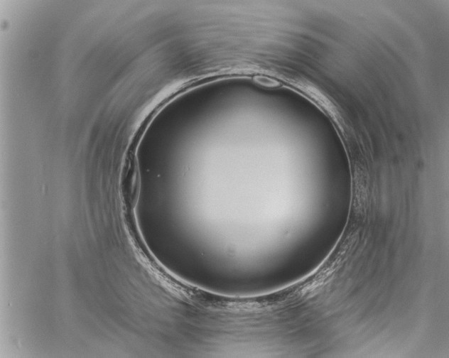 X0000060781142200511241813