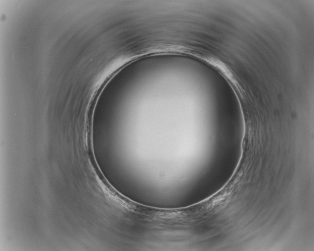 X0000060781143200511241813