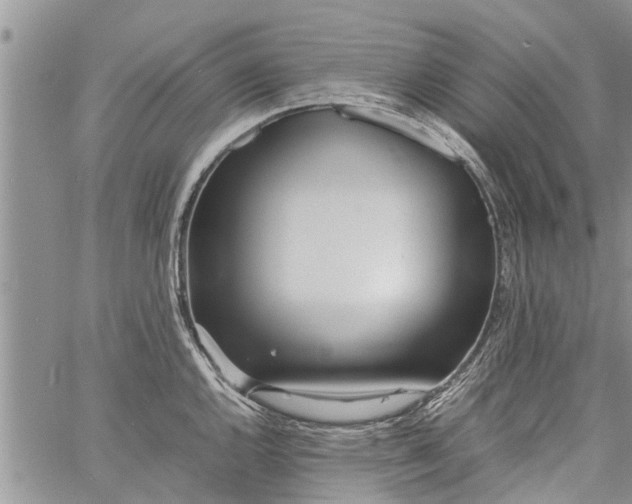 X0000060781144200511241813