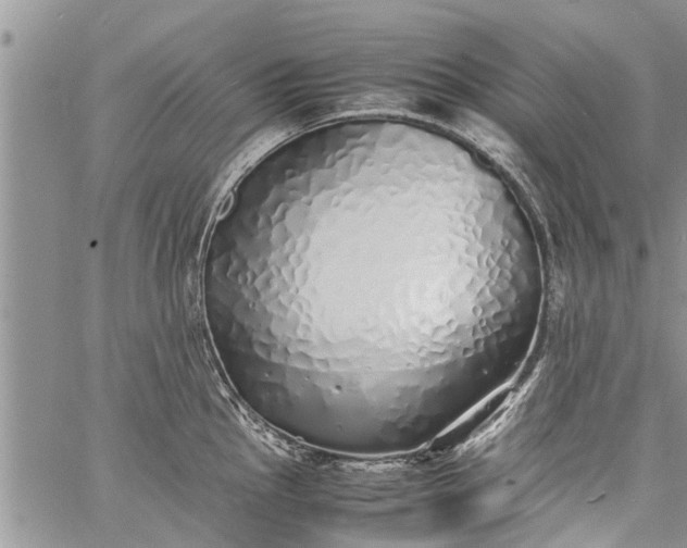 X0000060781145200511241813