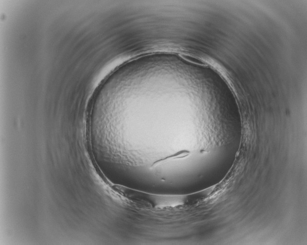 X0000060781147200511241813