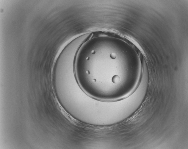 X0000060781148200511241813