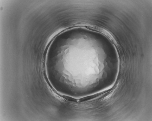 X0000060781149200511241813