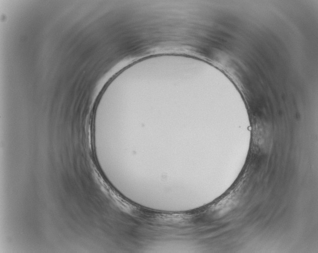 X0000060781150200511241813