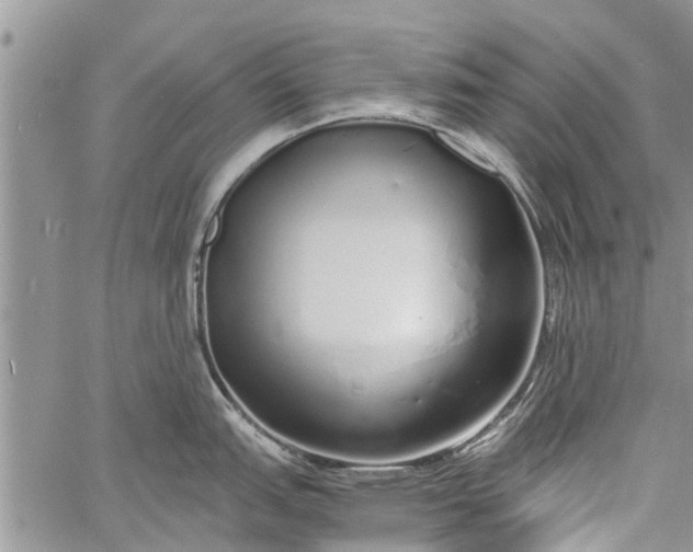 X0000060781151200511241813