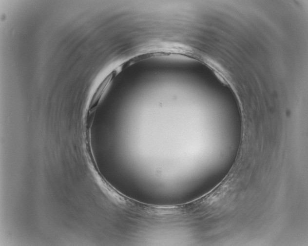 X0000060781152200511241813