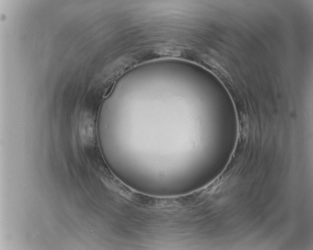 X0000060781154200511241812