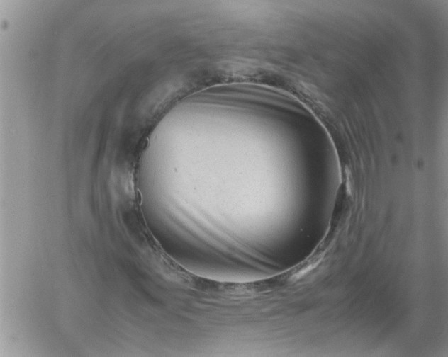 X0000060781155200511241812