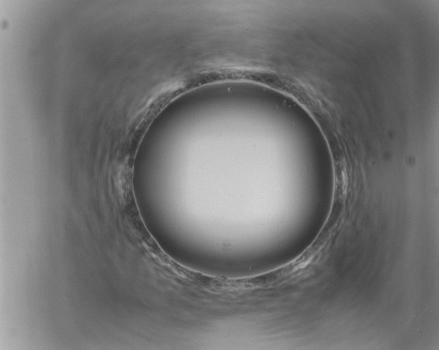 X0000060781157200511241812