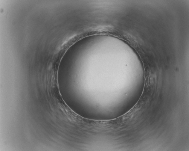 X0000060781158200511241812