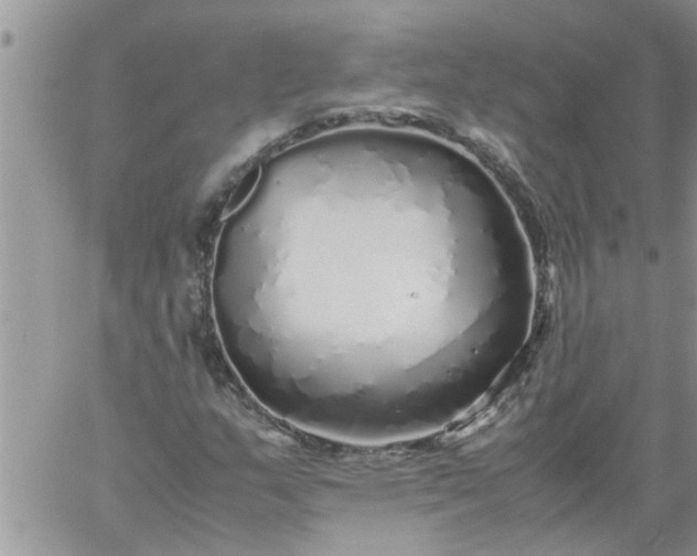 X0000060781159200511241812