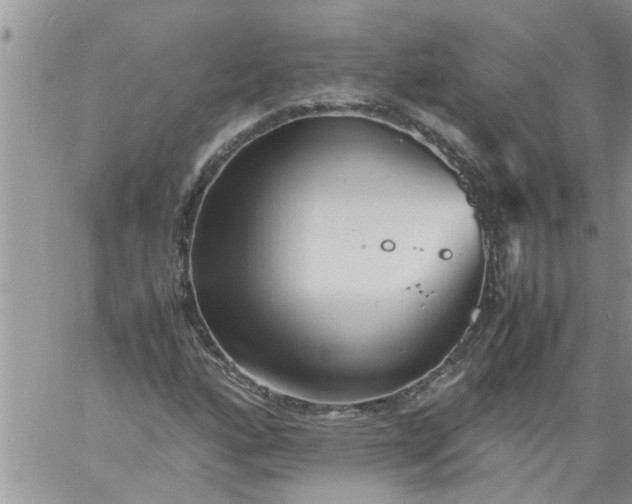 X0000060781160200511241812