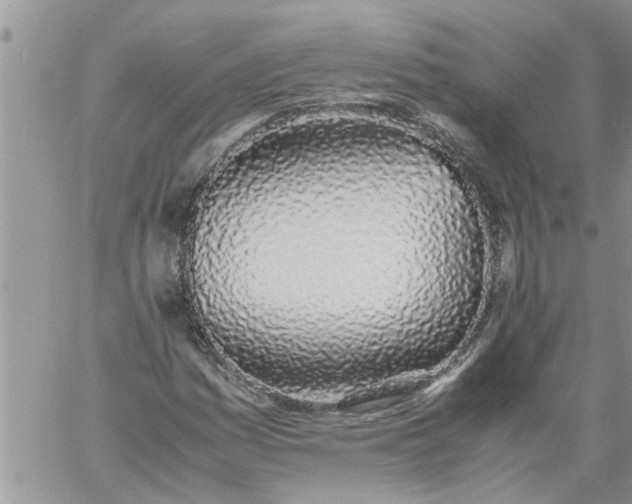 X0000060781161200511241812