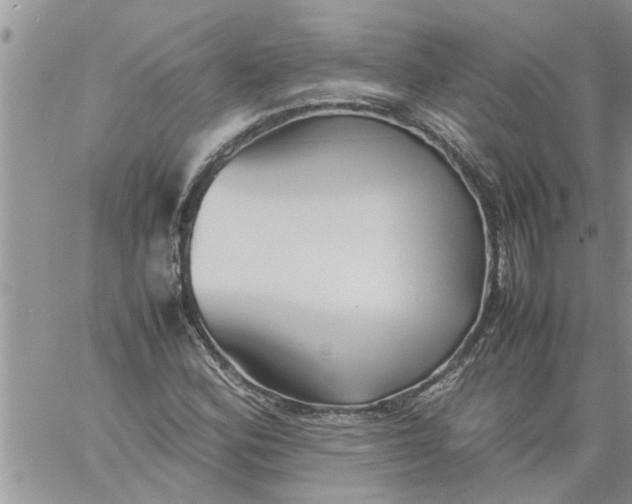 X0000060781164200511241812